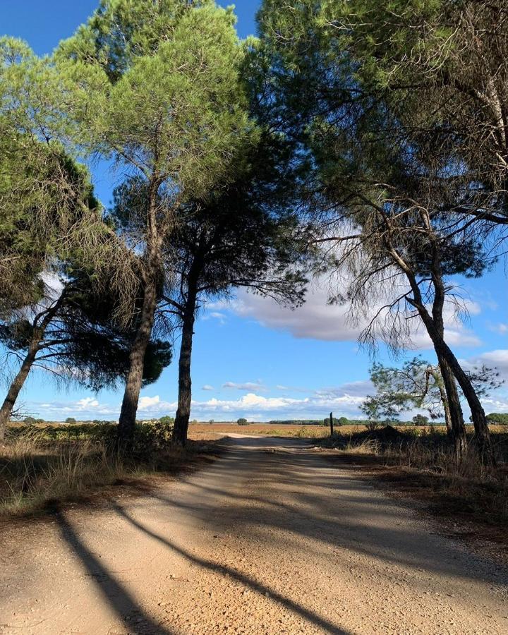 Penzion Casa Rural La Navarra Villarrobledo Exteriér fotografie